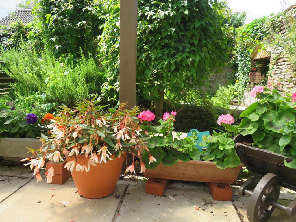 Little Orchard Apartment Pont Yates Exterior foto